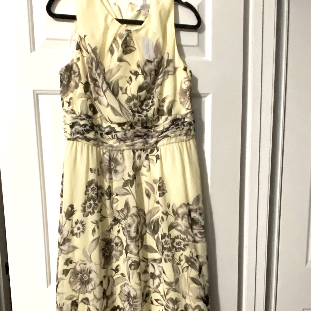 Christopher & Banks Floral Dress